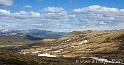 Dovrefjell 1998